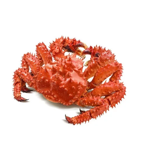 Hot Sale Mud Crabs Frozen KOSHER Style Packaging Weight Shelf Origin Type Life Variety Product Place Model Carton GMP