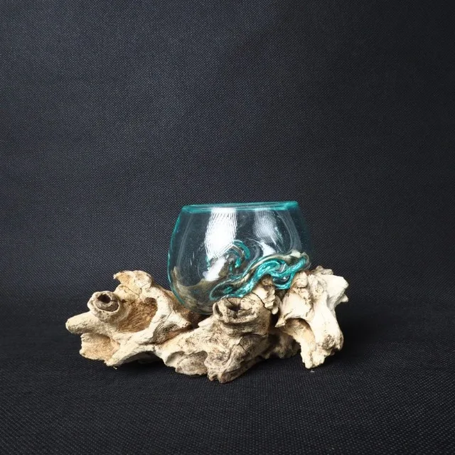 Molten Glass On Gamal Wood, Driftwood Terrarium,  Glass Bowl On Driftwood