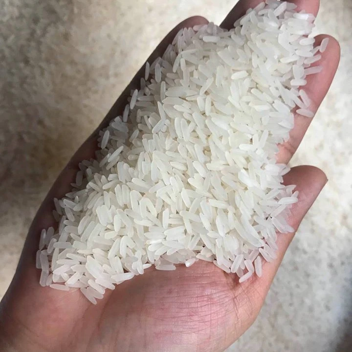 Premium Jasmine Rice From Vietnam Fragrant Rice Wholesale RIZ OEM 5% broken packing 1kg 2kg 5kg 25kg 50kg as buyer request