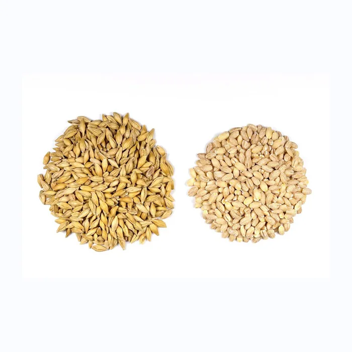 Hot Sales Organic Dried Malting Barley Seeds Whole Hulled Barley Grains Pearl Barley for Animal Feed
