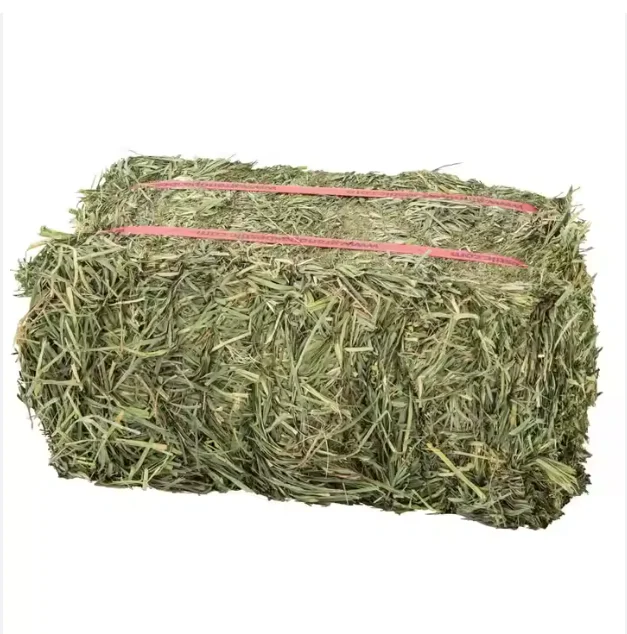 High Quality Non-GMO Alfafa Hay for Animal Feeding Alfalfa /Rodent Hay for sale
