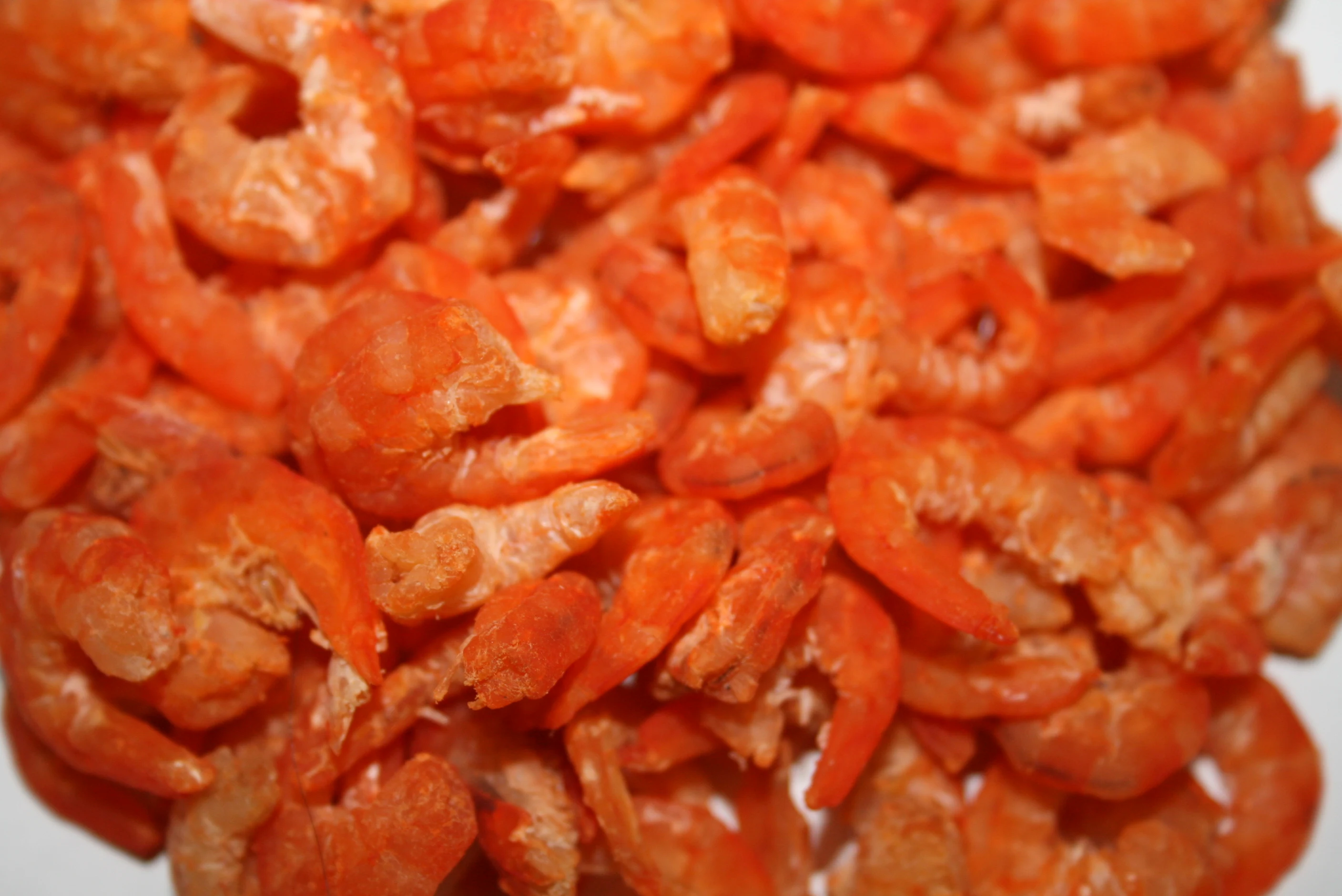 WHOLESALE DRIED RIVER RED SHRIMP HIGH QUALITY DRY SEAFOOD FOR EXPORTING