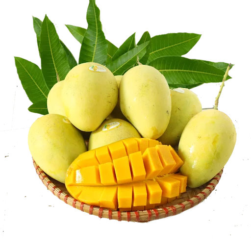 Wholesale Fresh Mango High Quality Fresh Green Cat Chu Mango From Vietnam Sweet Mango Packing Carton