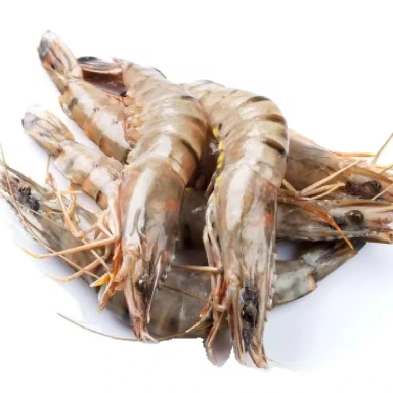 Frozen Shrimp Export Seafood Fresh Frozen Black Tiger shrimp With Cheap Price provide our company