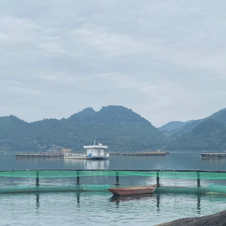 High Quality Custom HDPE Floating round Crab Fishing Cage Secure Aquatic Research Center Net from Vietnamese Manufacturer