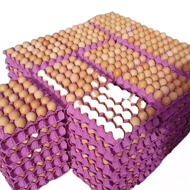 Freshly stock Brown /white Shell Table Eggs for sale at wholesale price/CARTONS /BULK