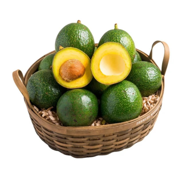BOOTH AVOCADO 100% FRESH HIGH QUALITY PRODUCED IN VIET GREAT PRICE