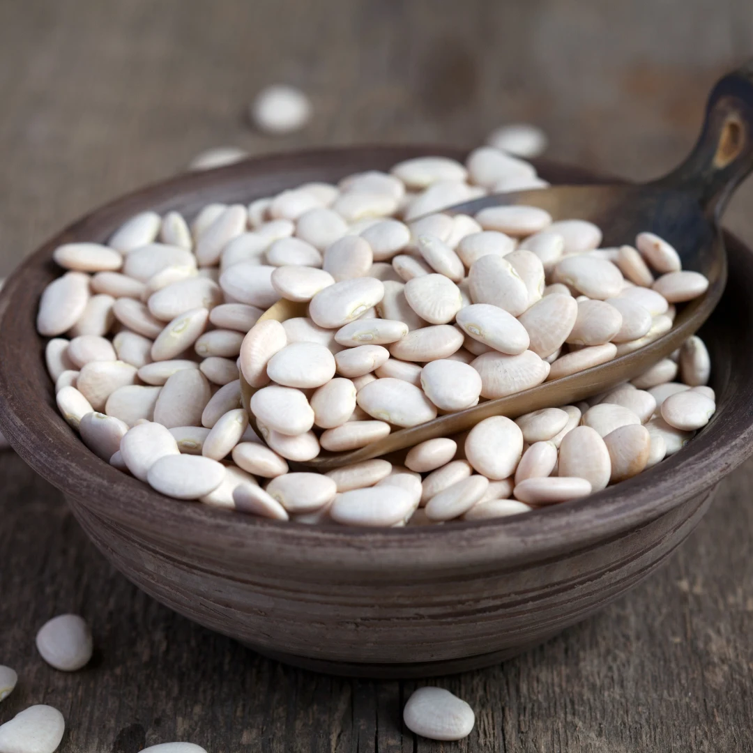 Buy Cheap Dark White Kidney Beans Long Shape Kidney Beans for sale