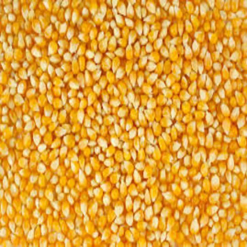 Factory Price Manufacturing Bulk Kernel Dried Yellow Corn For Sale