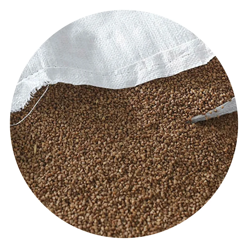 Low prices buckwheat groats natural product of Kazakhstan buckwheat for sale in bulk