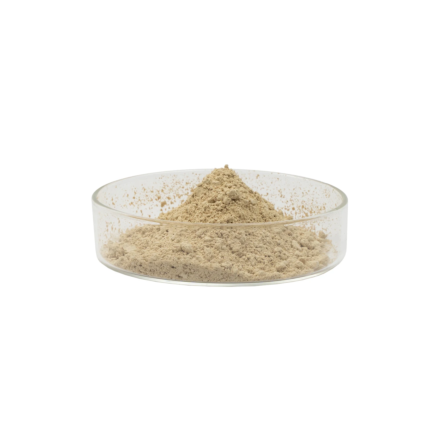 Food Additive 2000ppm Zinc Yeast