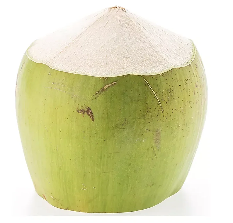 Top Seller In Stock Young Coconut Top quality  Semi-Husked Diamond Cut Green Fresh Coconut for Resterent Supply from Thailand