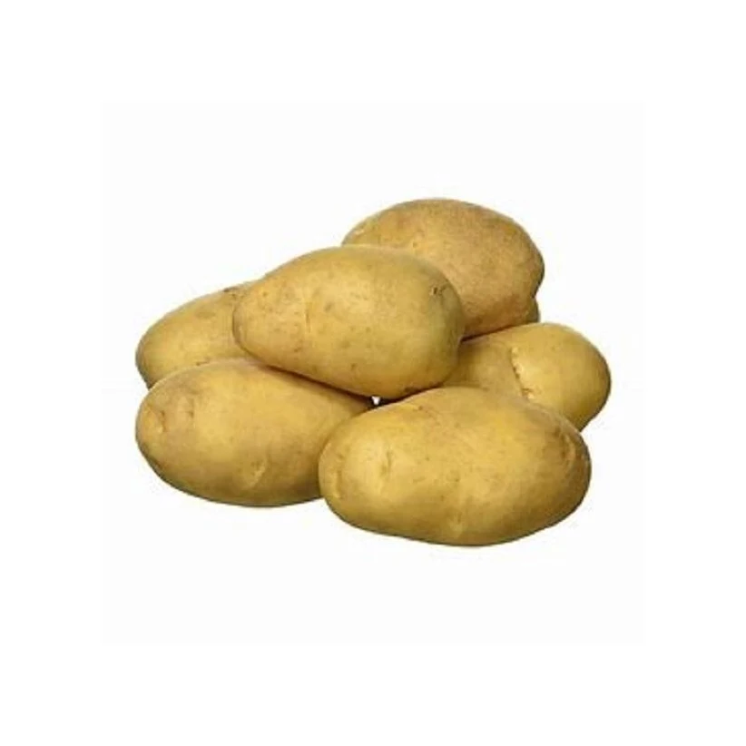 Premium quality 100% Organic fresh Potatoes from Europe
