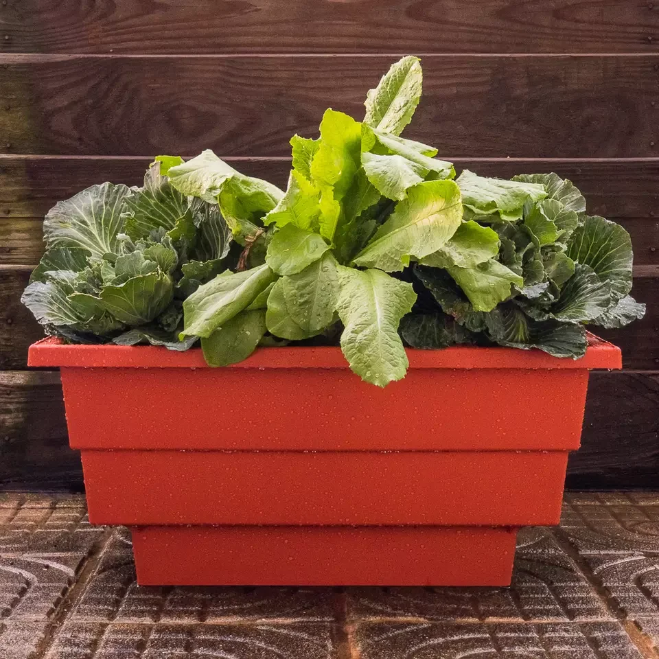 Plant Pot for Container Accessories Rectangular Planter Box Flower Tub / POTS / Pergola Red Brick Color Rectangle Pot Plastic