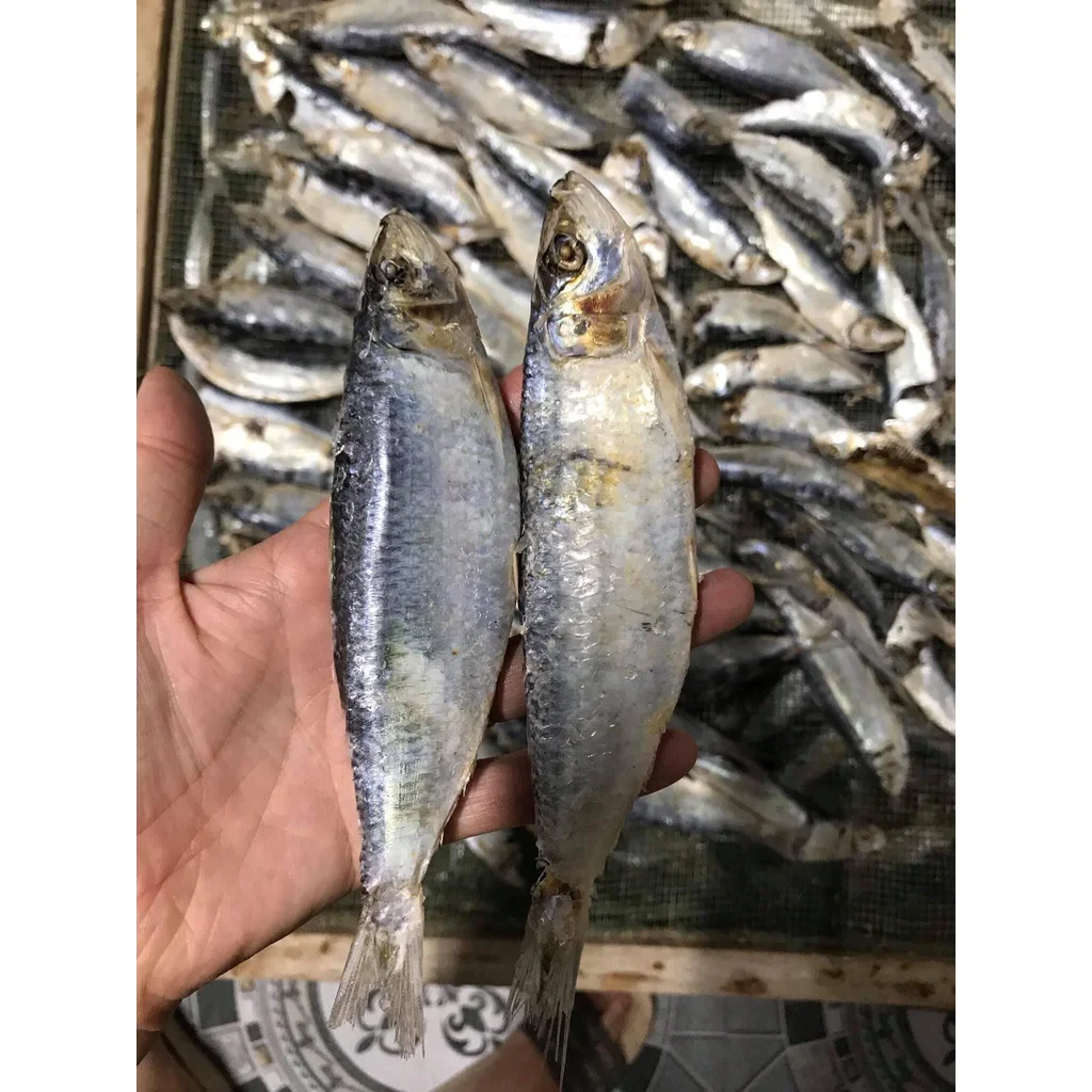 Hot-selling Natural Dried Herring 100% Top Vietnam Seafood with cheap price and premium quality