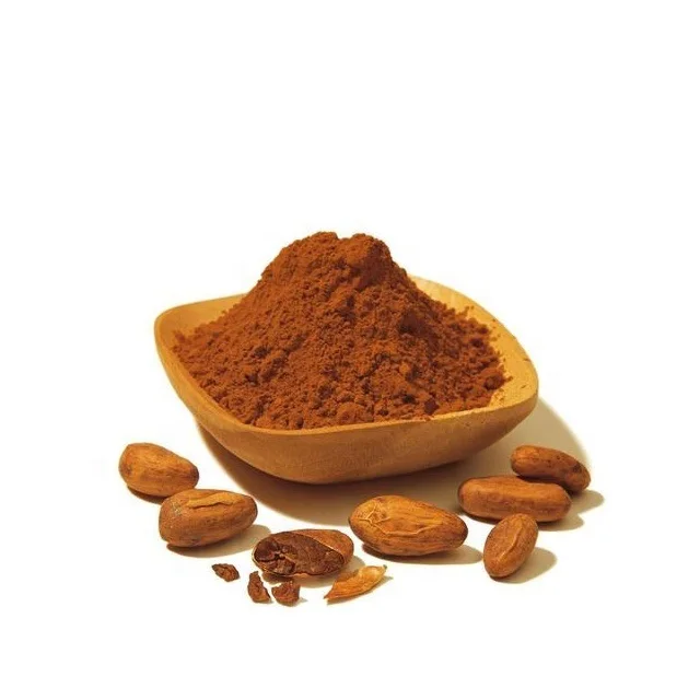 Wholesale Madagascar Organic Premium 100% Pure Raw Cacao / Cocoa Powder For Baking & Hot Chocolate