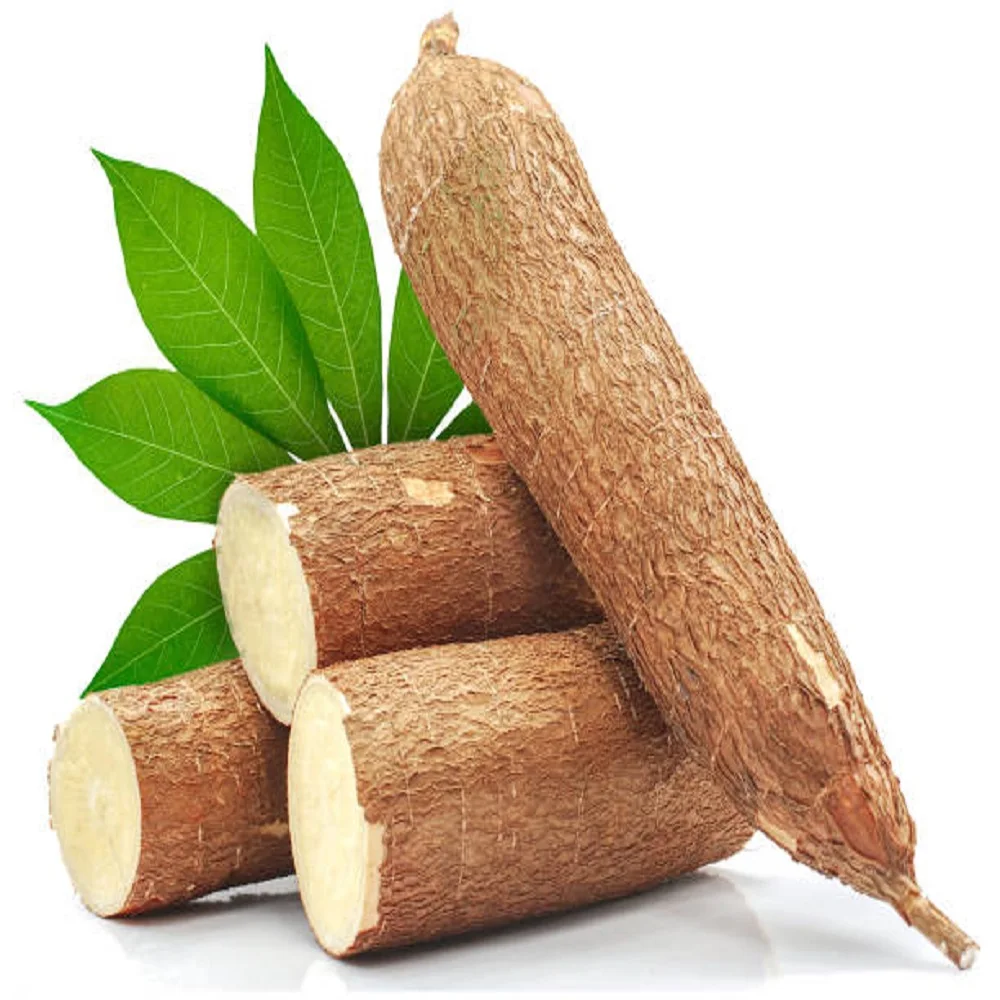 Dried Cassava /Raw Dry Cassava  from thailand