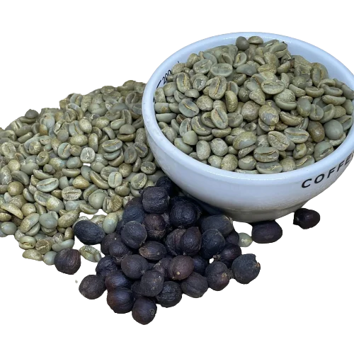 Green Robusta Green Coffee Beans Premium Quality Screen 16 Red Honey Processing Single Origin in Vietnam