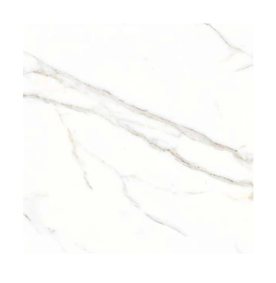 Transform Your Home with Indian Ceramic Tiles 600 x 1200 mm Size available at export quality packing and low price