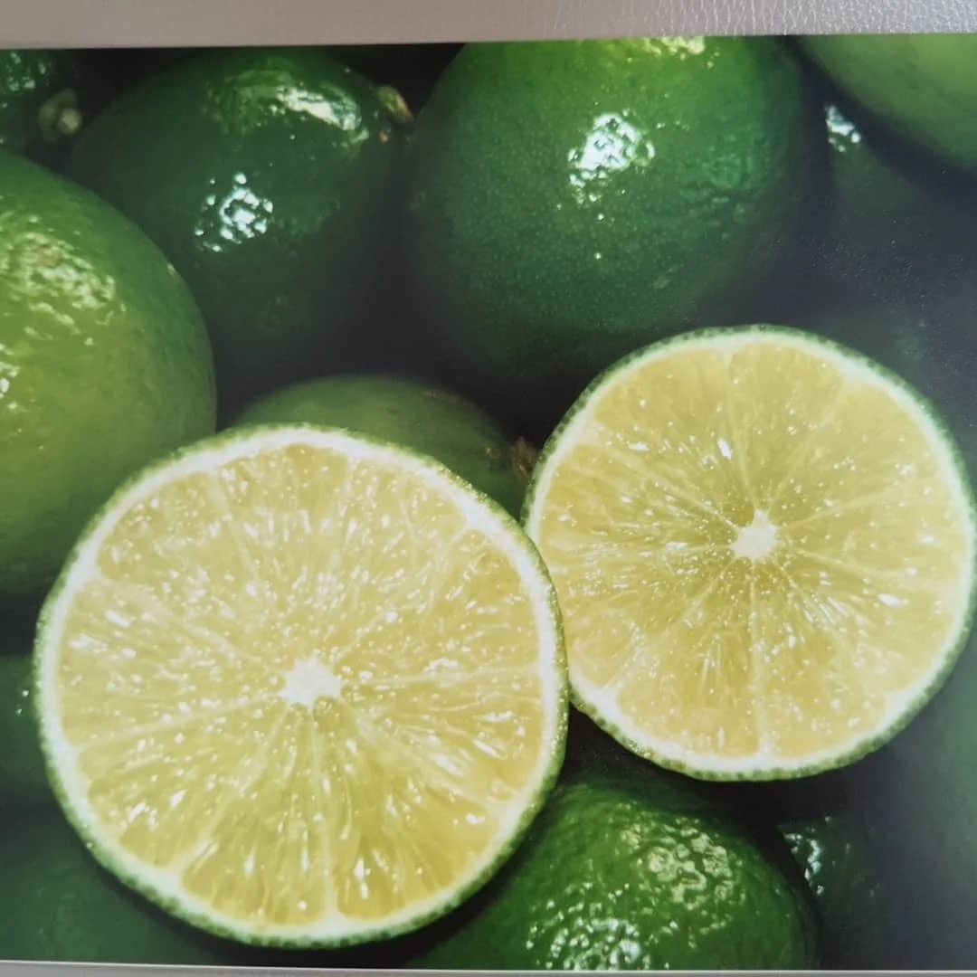 Seedless Lime Fresh Citrus Fruit High Quality Brand Manufacturer Wholesaler Hot Selling From South Aafrica Cheap Price Low MOQ