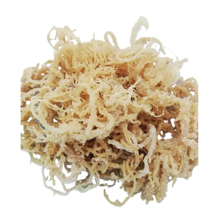 HOT SALE DRIED ECHEUMA SEAWEED - Good Price Dehydrated Vegetables Dried Sea Moss for Food