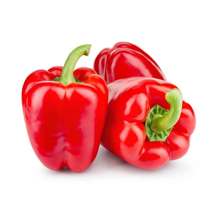 Best Selling and High Quality 100% Natural Product Fresh Bell Pepper Ready for Export in Bulk Quantity