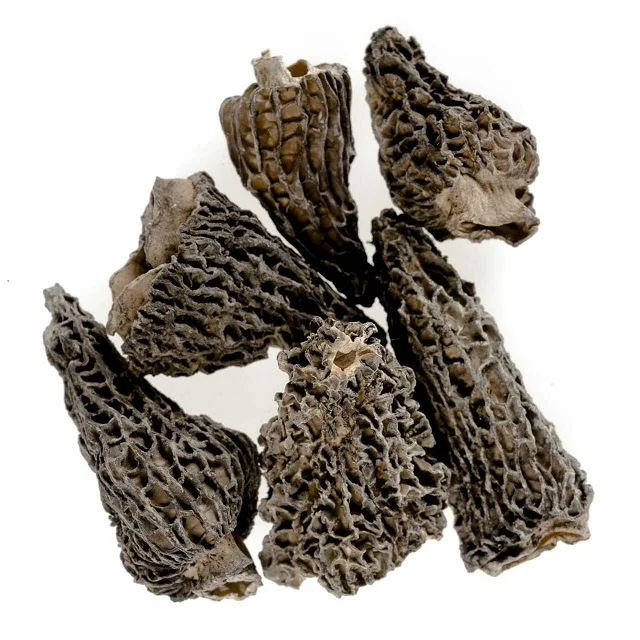 Free Samples Dried Price Morels Dried Mushroom Morel Mushroom