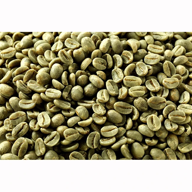 WHOLESALE ROBUSTA COFFEE/ARABICA COFFEE BEANS/GREEN COFFEE BEANS