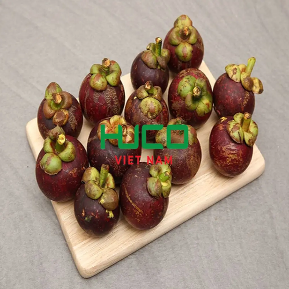 Highest Selling Products Fruit CHEAP PRICE MANGOSTEEN FRUIT from VIETNAM