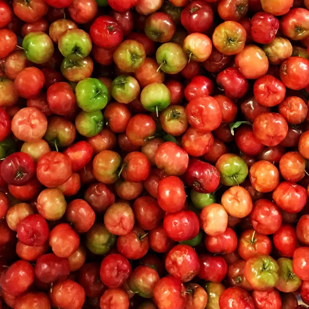 Frozen Juice Acerola Puree Cerise Fruit Juice Malpighia Glabra +84947900124