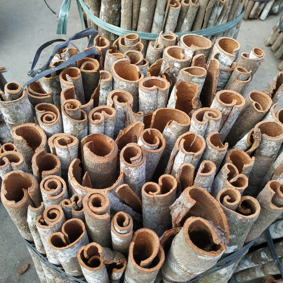 Tube CANELA Whole 100% Organic CANELA TUBE from Yen Bai Province Vietnam Wholesales Exported WorldWide