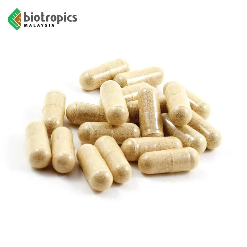 Ready to Eat Food Grade Tongkat Ali & Epimedium Supplement 1 to 2 Capsules Per Day Customization Available