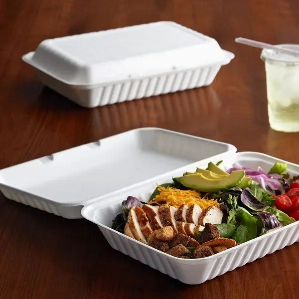 Eco Friendly Bagasse Clamshell | Disposable Bagasse Containers, High Quality Takeaway Boxes | Bagasse Tableware