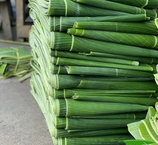 Fresh Banana Leaf For Food Stuff Replace To Plastic Bag Eco Friendly Wrapping Food Biodegradable Supplier New Crop Bulk Vietnam