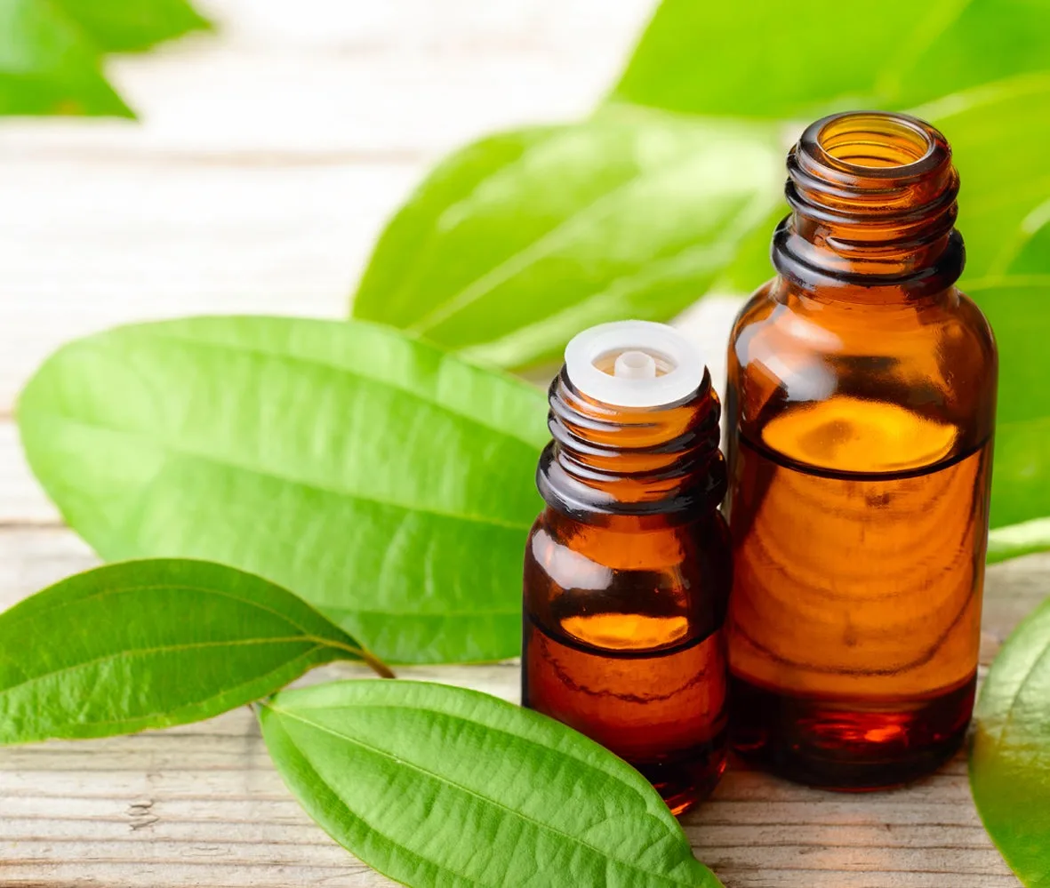 High Quality 100% Pure Organic Cinnamon Leaf Essential Oil Food Grade 30ml Bottle Size for Hair Low Price Direct from India