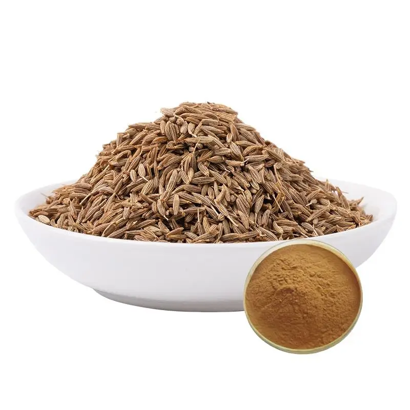 Factory Price Natural 10:1 Foeniculum Vulgare Fennel Extract Fennel Seed Extract Powder Cheap price