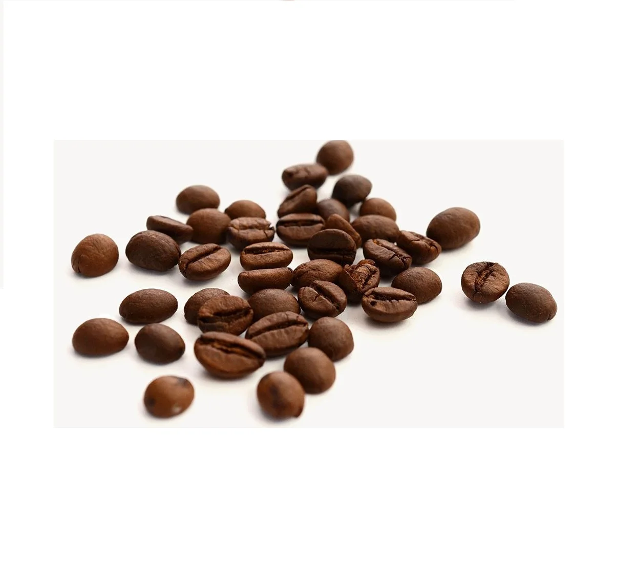 100% High Quality Export Oriented Cheap Price Hot Sale Coffee Beans Wholesale Arabica Coffee Beans Roasted From Indonesia