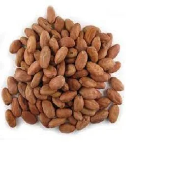 PREMIUM QUALITY COCOA BEANS FOR EXPORT