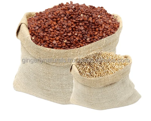 Фрукты Quinoa оптом для продажи