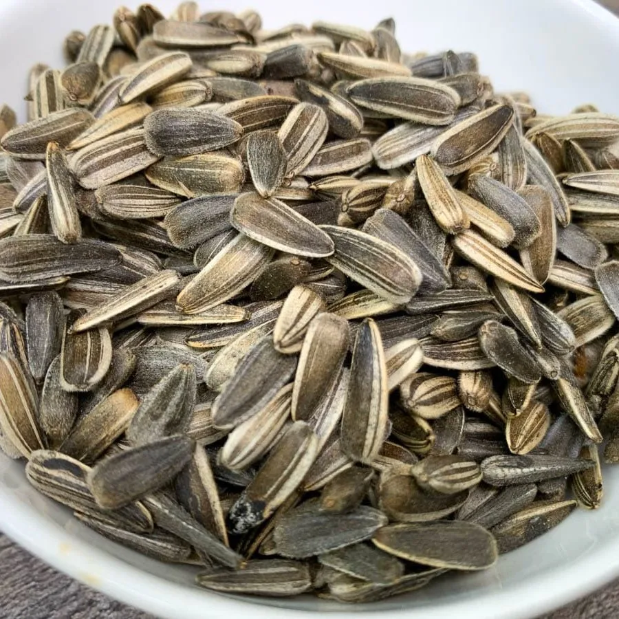 New Crop Inner Mongolia Black Strip Sunflower Seeds 601