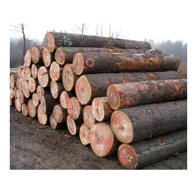 Buy Oak Timber LOGS | Oak Wood Round Logs At Best Price