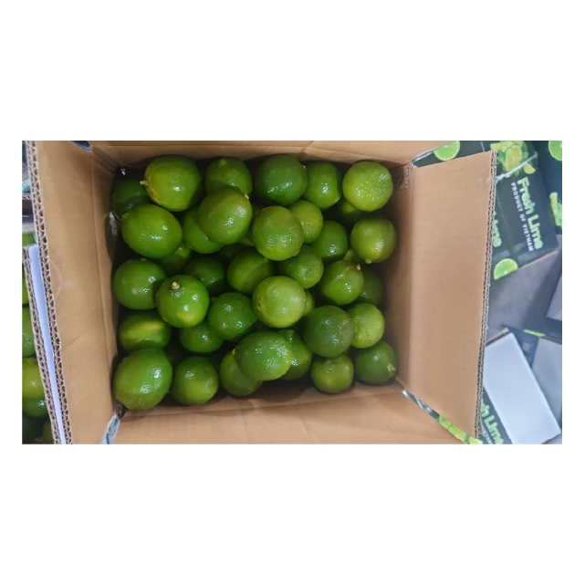 Product fresh lime premium quality new crop from Viet Nam to US market