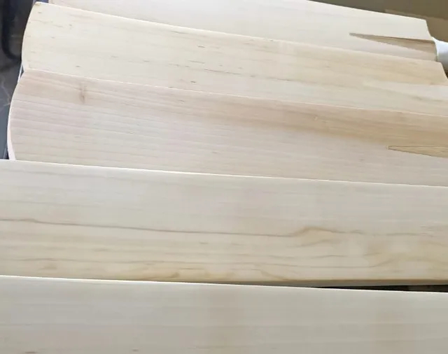 English Willow Customize top Professional Players Quality Cricket Bat Brand Srinika Sports