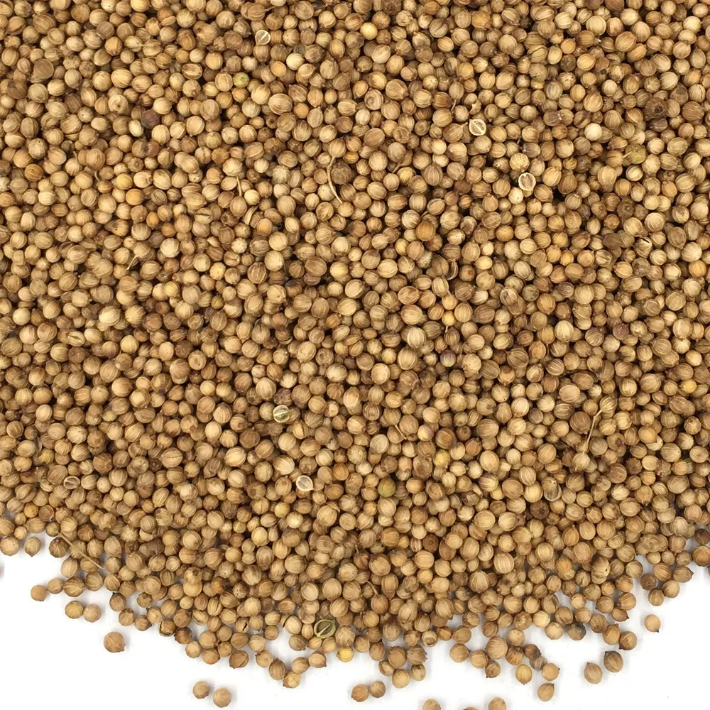 Best quality Coriander seed for food industry and cooking manufacturer prices hot sale in bulk grains and beans