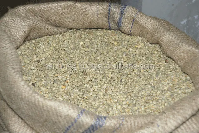 Вьетнамский КОФЕ ROBUSTA Зеленые зерна нового урожая оптовая продажа высокое качество хорошие источники низкая цена Заводская 0084374074818 HANFIMEX