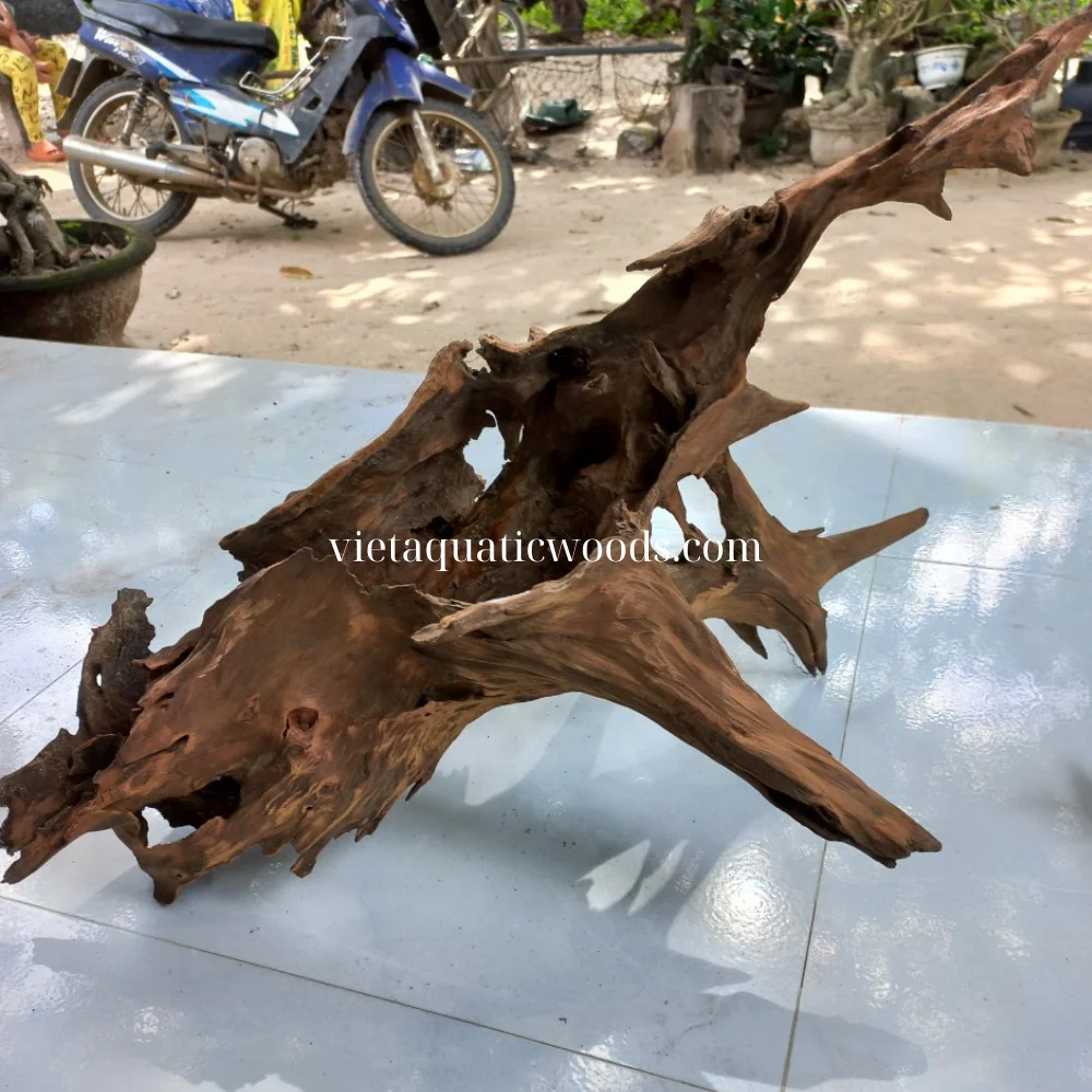 High quality Natural driftwood mangrove root and driftwood for aquarium decoration WhatsApp +84 963 949 178