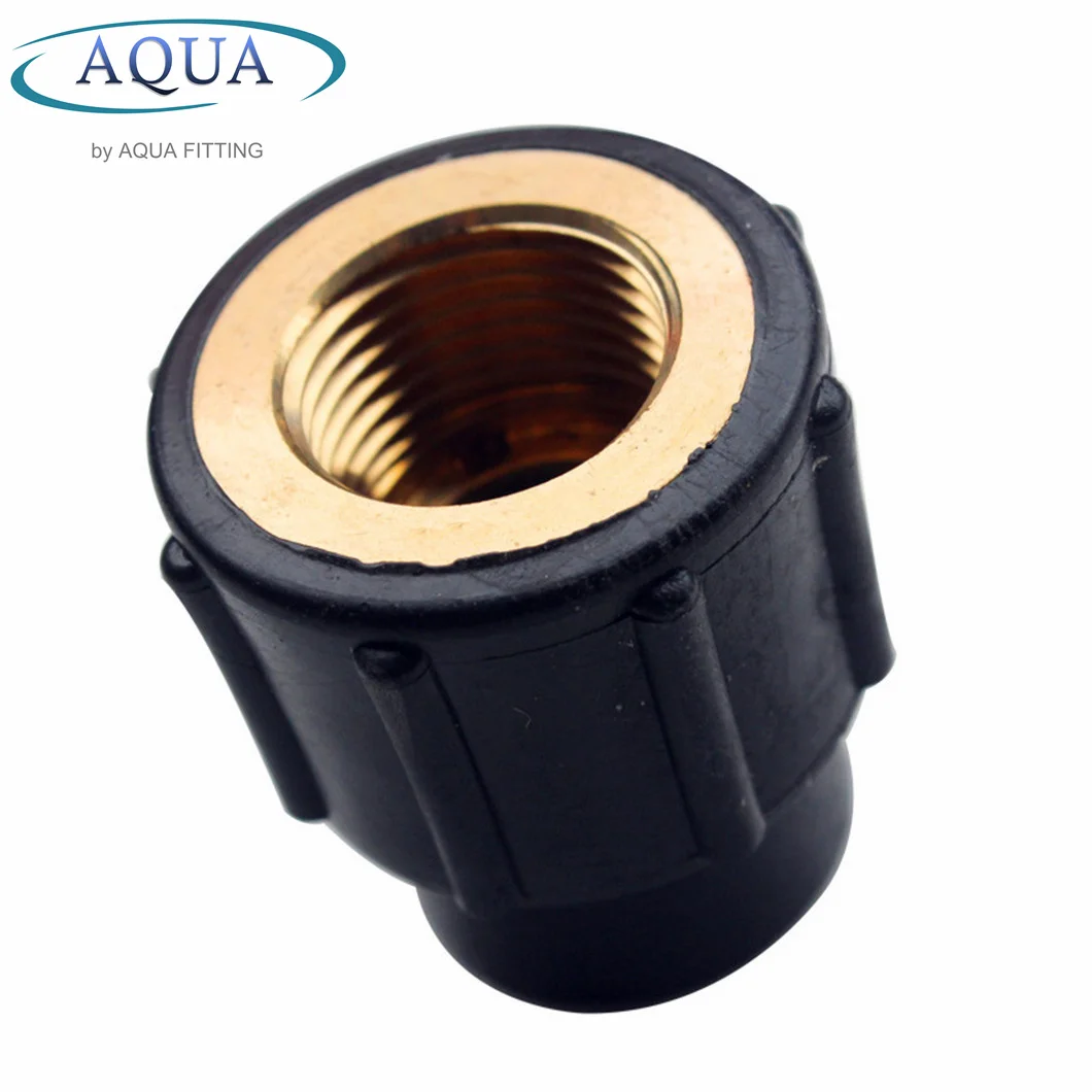 External Thread HDPE Pipe Fittings PE Female Threaded Coupling