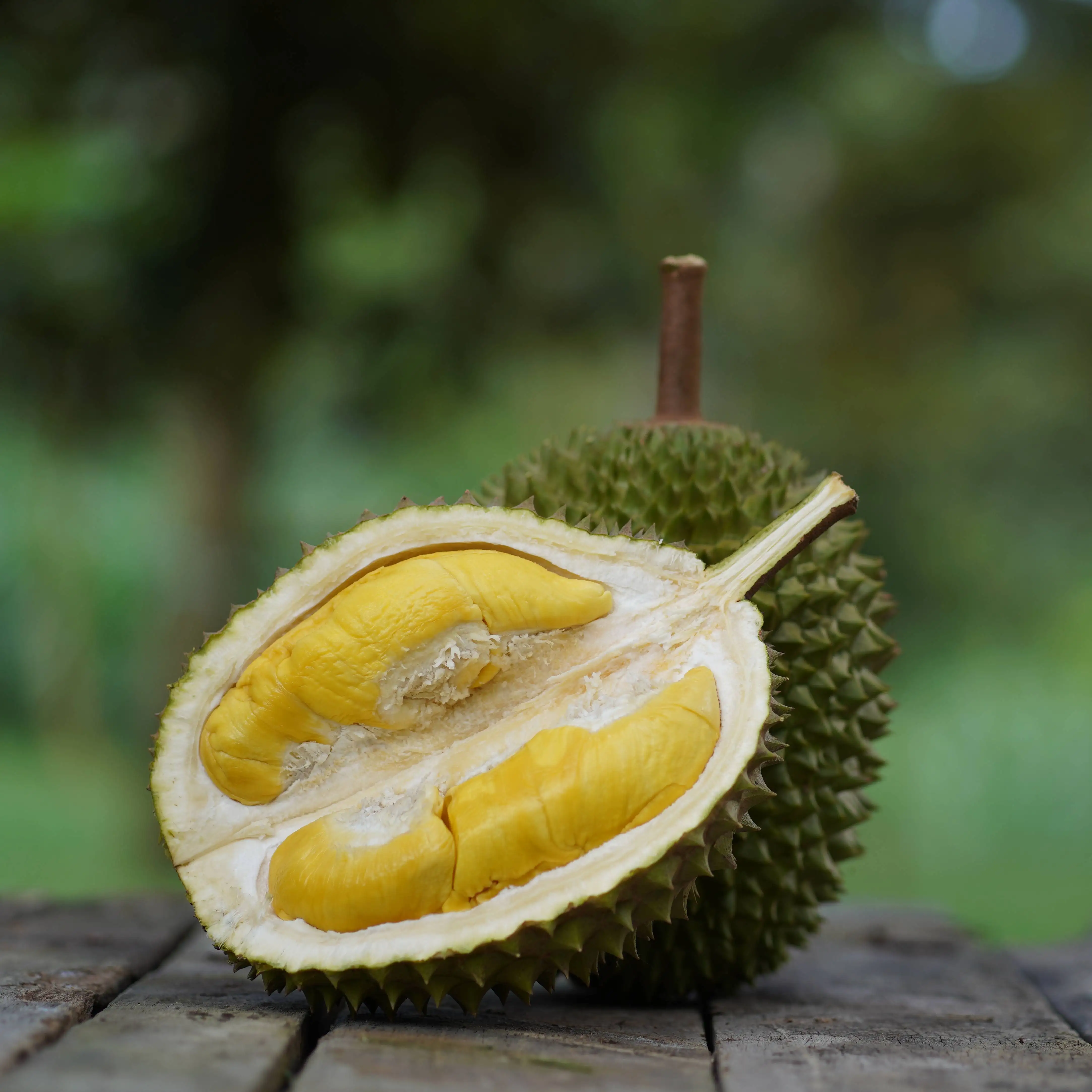 Malaysia Musang King Durian D197 Fresh Whole Fruit | Top Selling Premium Farm Fresh Durian From Raub Pahang