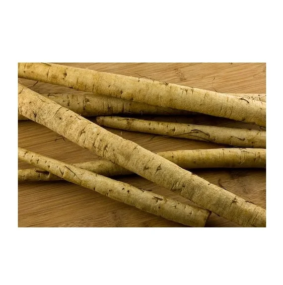 Best Quality Hot Sale Price Fresh Vegetables Burdock Root