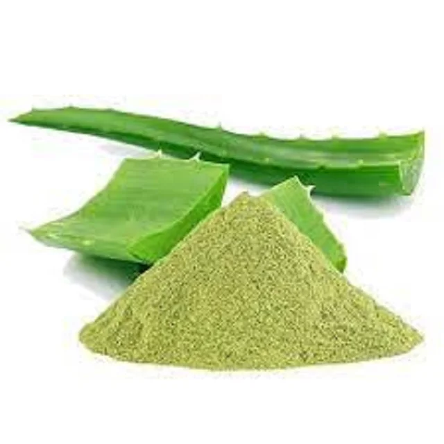 Hot selling Pure Plant Healthy Aloe Vera Extract Herbal Extract Best Quality Aloe Vera Powder at Best Price from India
